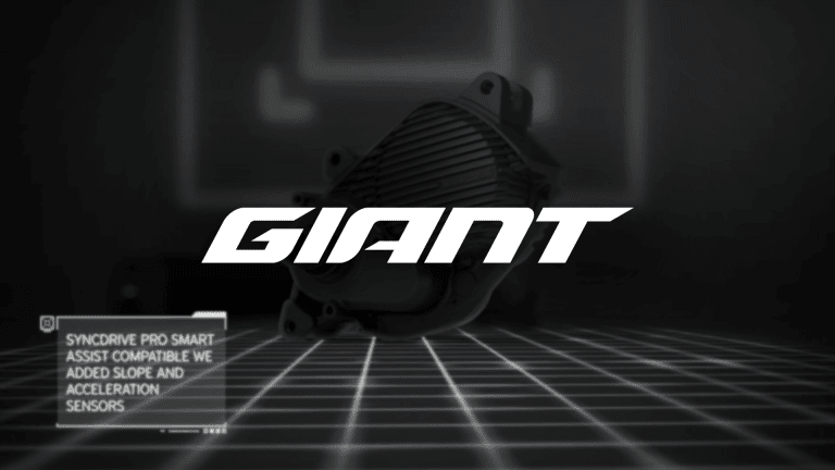 Giant Bicycles 2021