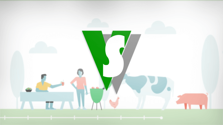 Agribusiness Service – VVS